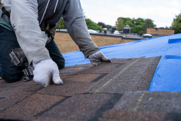 Best Gutter Installation and Roofing  in Llington, MI