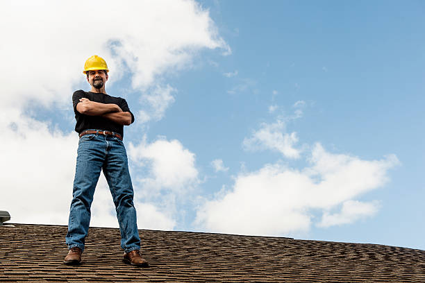 Roof Waterproofing Services in Millington, MI