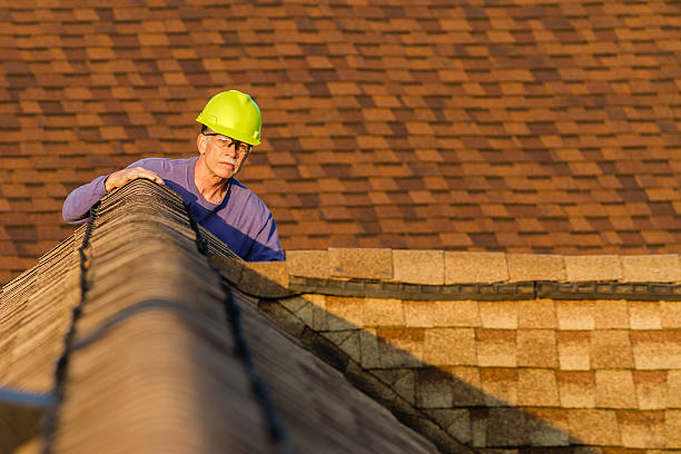 Best Roof Maintenance Services  in Llington, MI