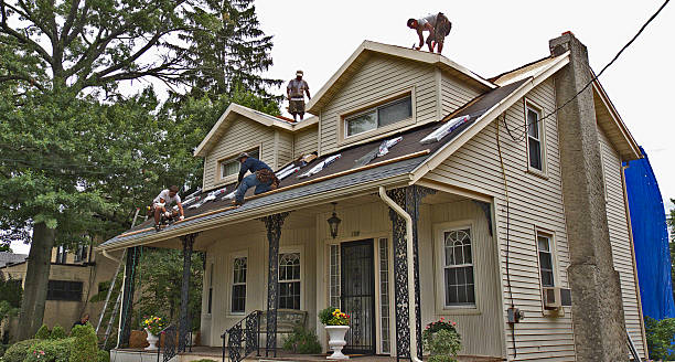 Best Flat Roof Repair Services  in Llington, MI