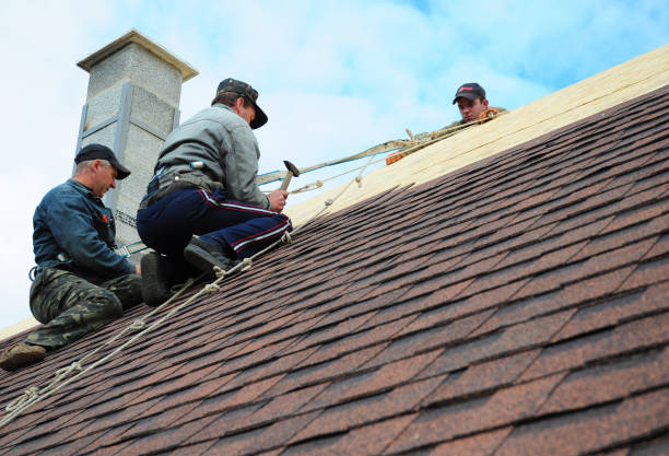 Best New Roof Installation  in Llington, MI
